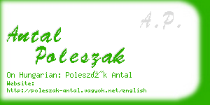 antal poleszak business card